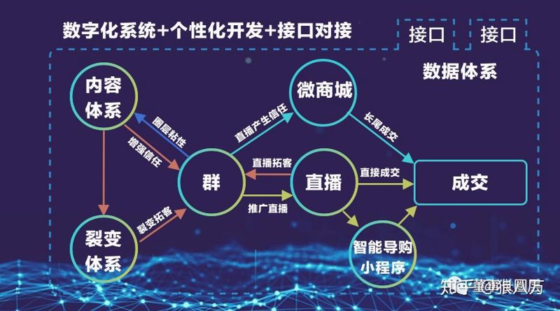 私域流量运营系统